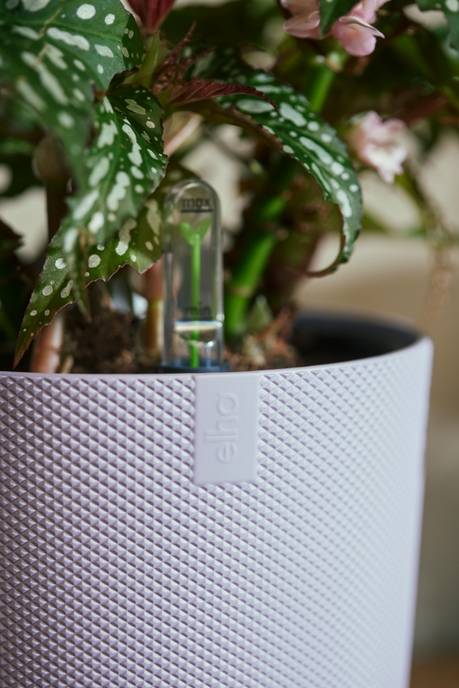 jazz rund 26cm lavendel lila